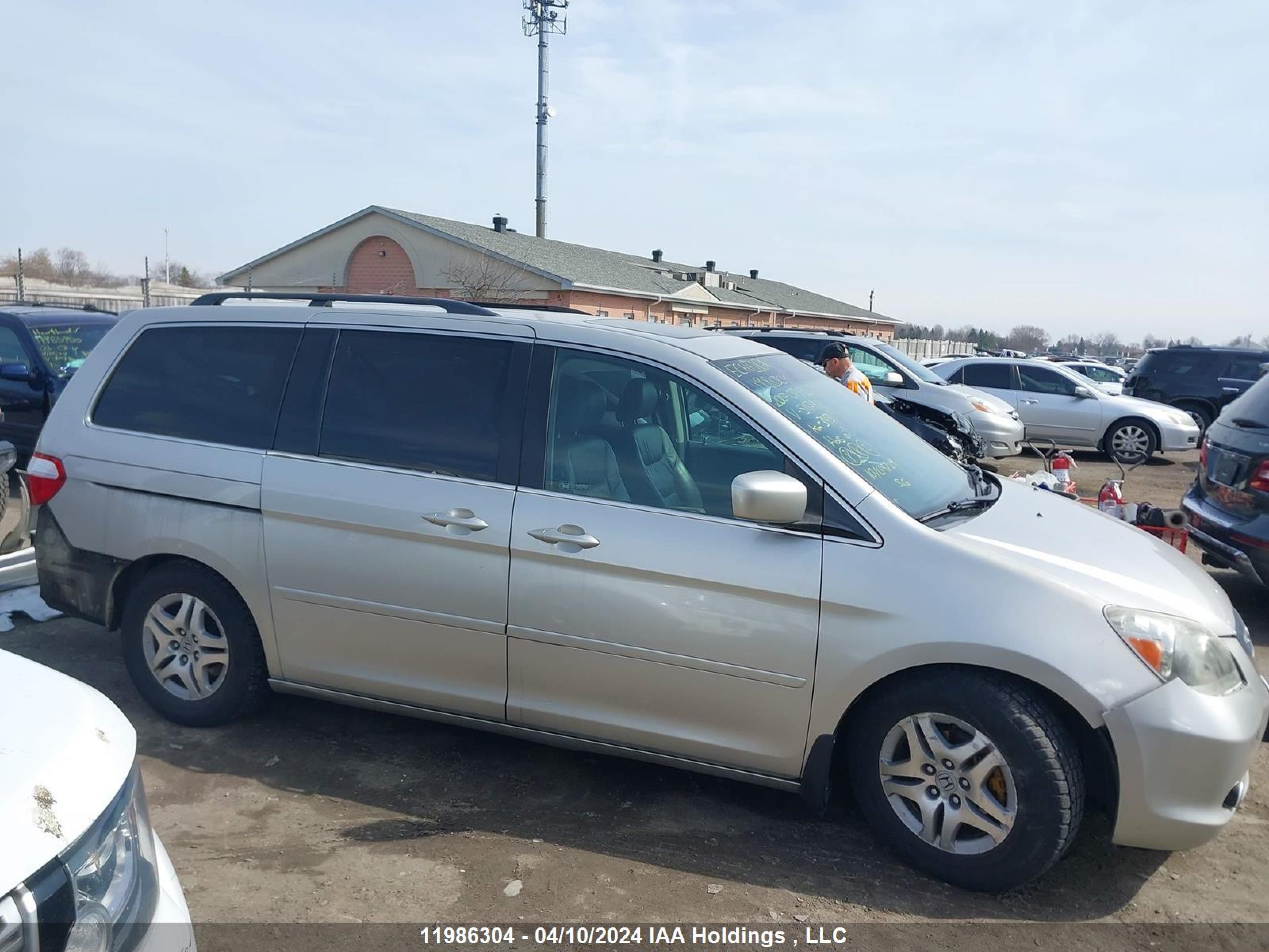 Photo 13 VIN: 5FNRL38767B511791 - HONDA ODYSSEY 