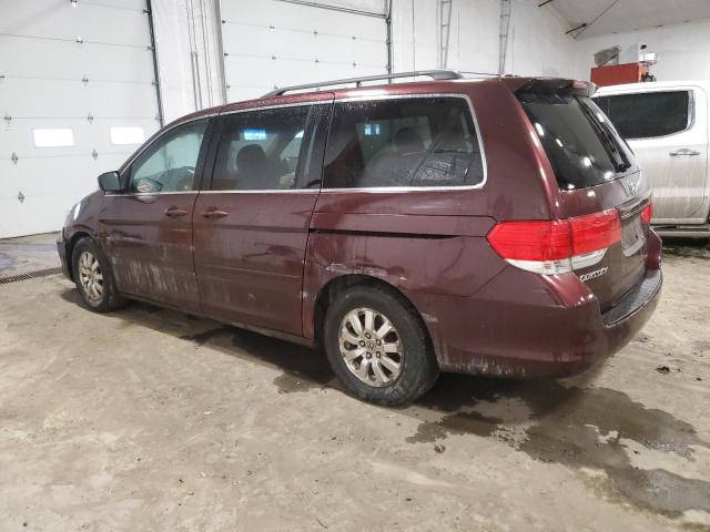 Photo 1 VIN: 5FNRL38769B024559 - HONDA ODYSSEY EX 