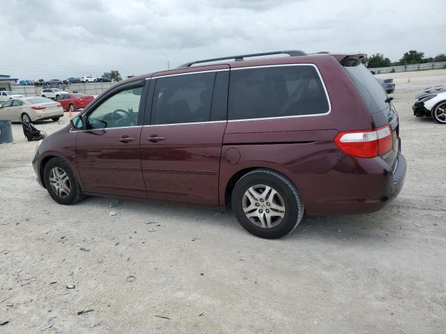 Photo 1 VIN: 5FNRL38777B425602 - HONDA ODYSSEY EX 