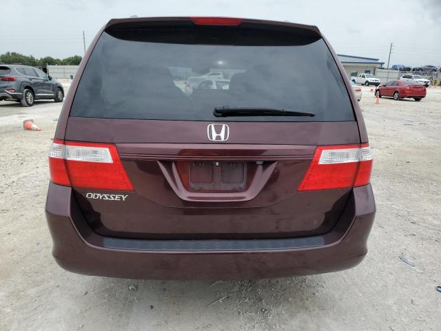 Photo 5 VIN: 5FNRL38777B425602 - HONDA ODYSSEY EX 