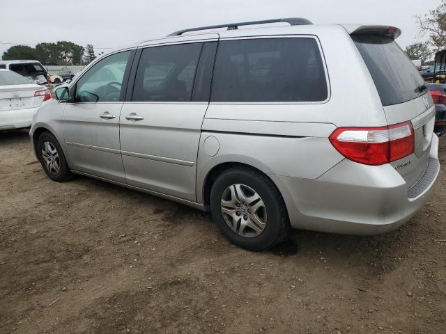 Photo 1 VIN: 5FNRL38777B443386 - HONDA ODYSSEY EX 