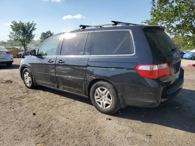 Photo 1 VIN: 5FNRL38787B103891 - HONDA ODYSSEY EX 