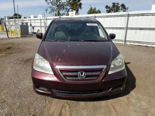 Photo 4 VIN: 5FNRL38787B106080 - HONDA ODYSSEY EX 