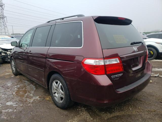 Photo 1 VIN: 5FNRL38787B427522 - HONDA ODYSSEY EX 