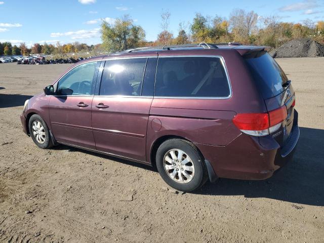 Photo 1 VIN: 5FNRL38788B077262 - HONDA ODYSSEY EX 