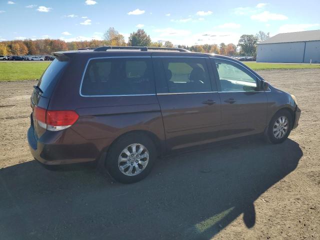 Photo 2 VIN: 5FNRL38788B077262 - HONDA ODYSSEY EX 