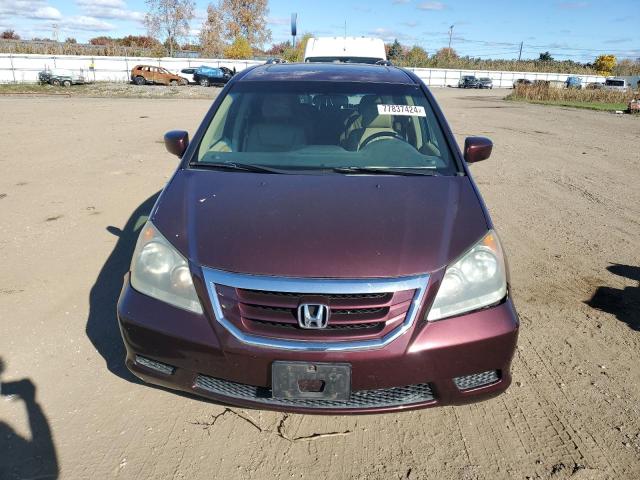 Photo 4 VIN: 5FNRL38788B077262 - HONDA ODYSSEY EX 