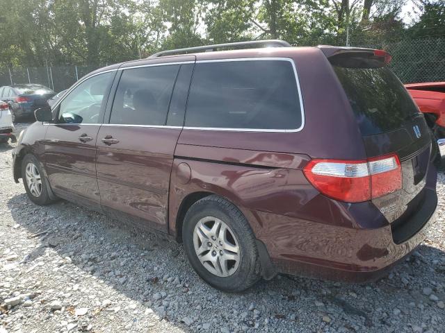 Photo 1 VIN: 5FNRL38797B140464 - HONDA ODYSSEY EX 