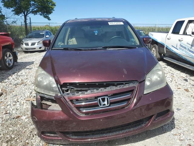 Photo 4 VIN: 5FNRL38797B140464 - HONDA ODYSSEY EX 