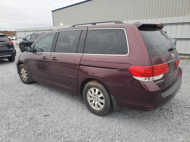 Photo 1 VIN: 5FNRL38798B074371 - HONDA ODYSSEY EX 