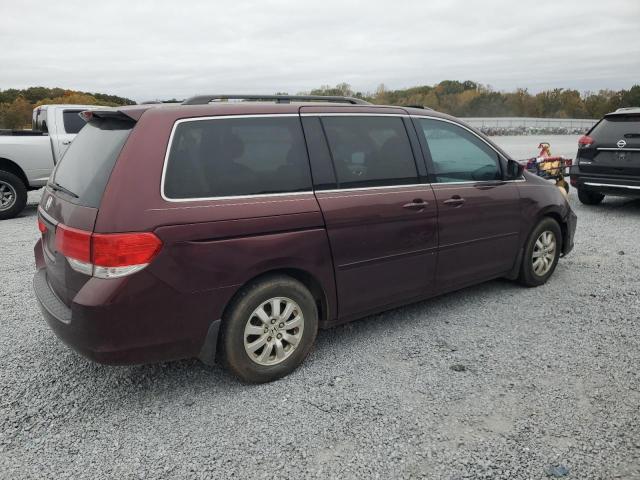 Photo 2 VIN: 5FNRL38798B074371 - HONDA ODYSSEY EX 