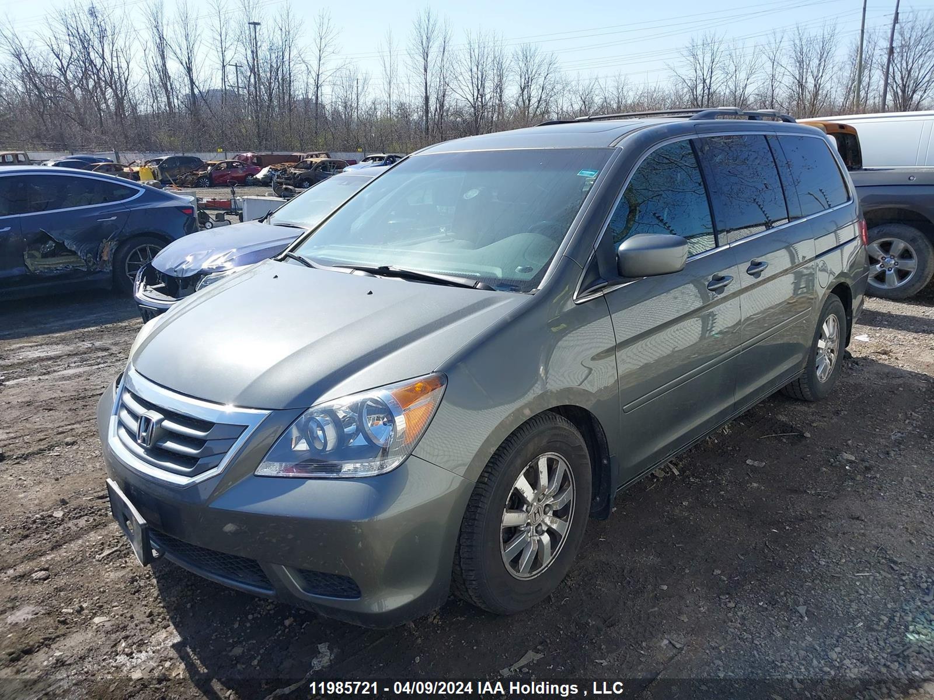 Photo 1 VIN: 5FNRL38798B508238 - HONDA ODYSSEY 