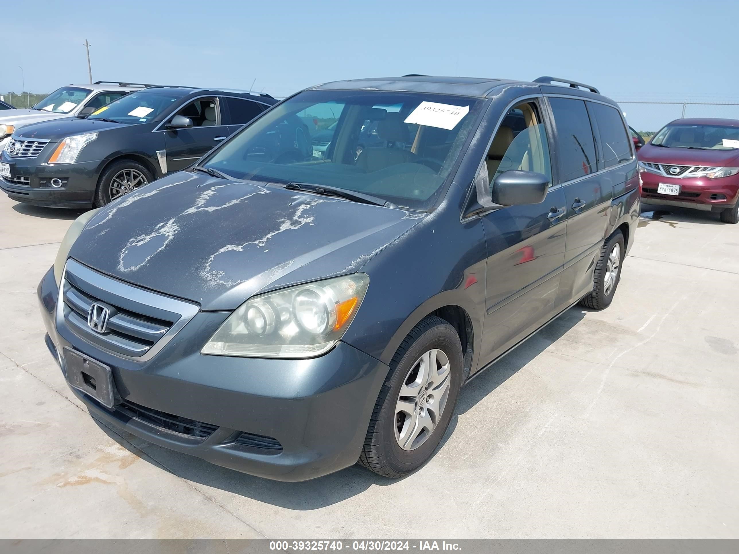 Photo 1 VIN: 5FNRL387X5B032030 - HONDA ODYSSEY 