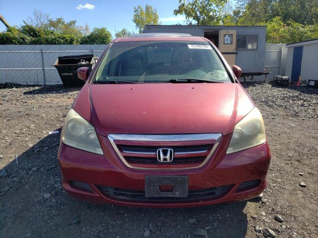 Photo 4 VIN: 5FNRL387X5B110662 - HONDA ODYSSEY EX 