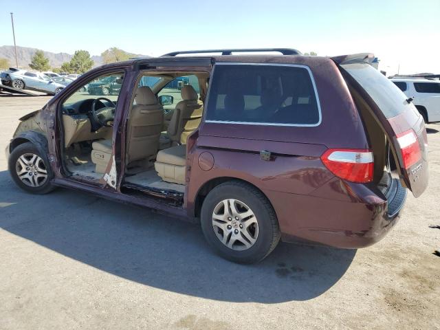 Photo 1 VIN: 5FNRL387X7B448484 - HONDA ODYSSEY EX 