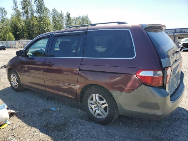 Photo 1 VIN: 5FNRL387X7B460005 - HONDA ODYSSEY EX 