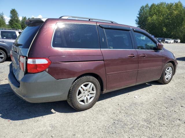 Photo 2 VIN: 5FNRL387X7B460005 - HONDA ODYSSEY EX 