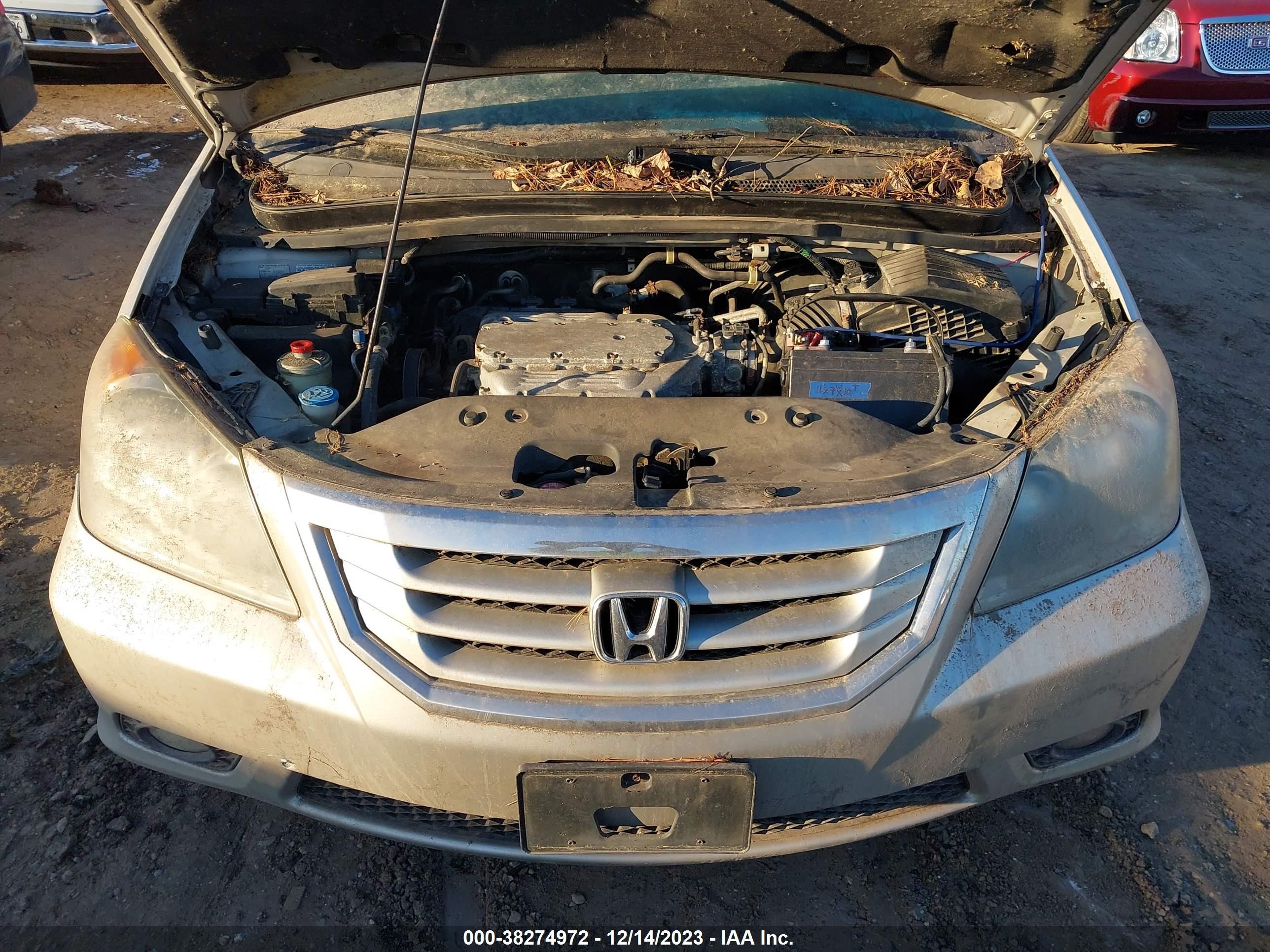 Photo 9 VIN: 5FNRL387X8B402820 - HONDA ODYSSEY 