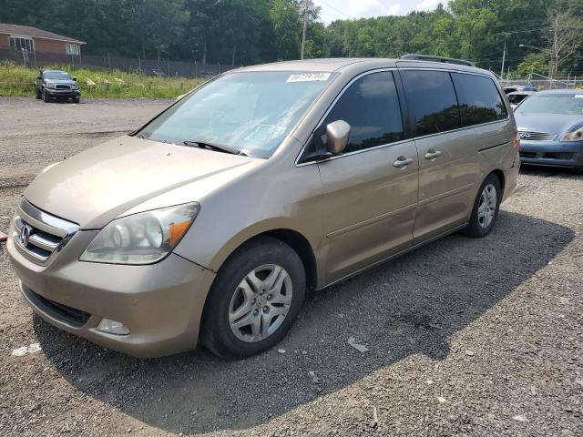 Photo 0 VIN: 5FNRL38805B096117 - HONDA ODYSSEY TO 