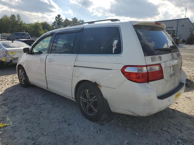 Photo 1 VIN: 5FNRL38815B083618 - HONDA ODYSSEY TO 