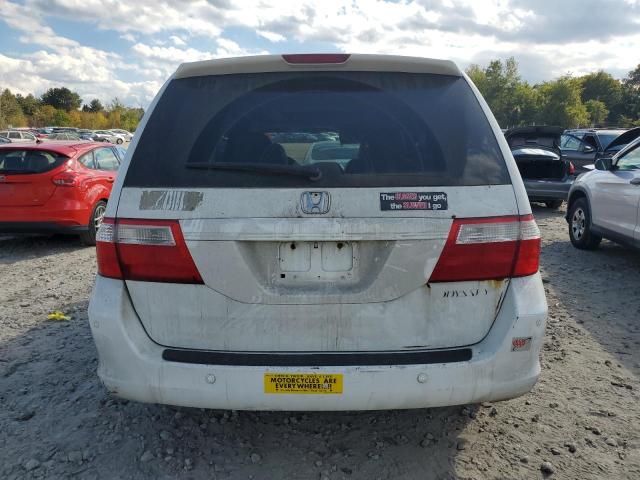 Photo 5 VIN: 5FNRL38815B083618 - HONDA ODYSSEY TO 