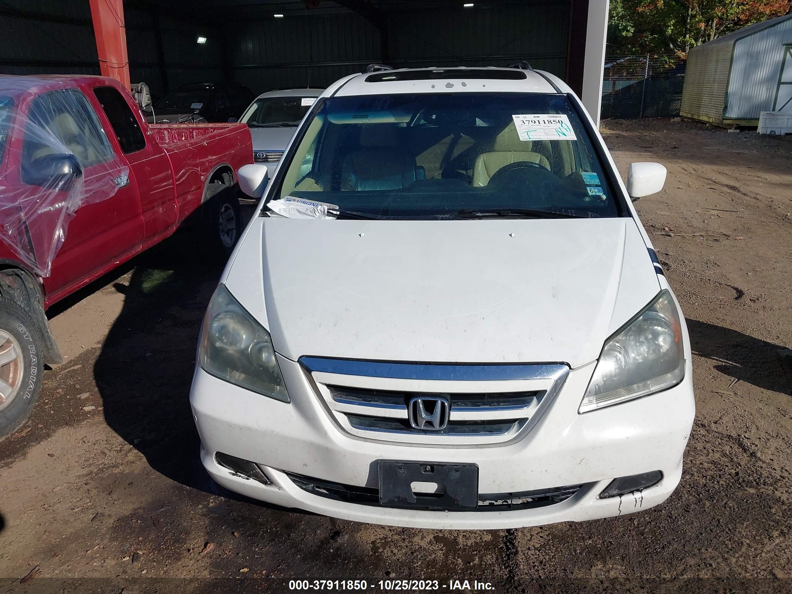 Photo 11 VIN: 5FNRL38815B114740 - HONDA ODYSSEY 