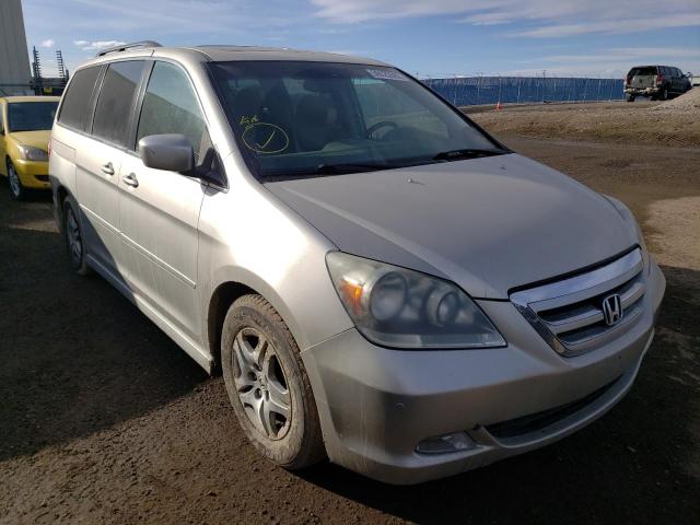 Photo 0 VIN: 5FNRL38825B503497 - HONDA ODYSSEY TO 