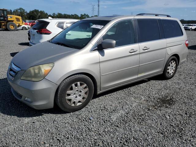 Photo 0 VIN: 5FNRL38865B086210 - HONDA ODYSSEY TO 