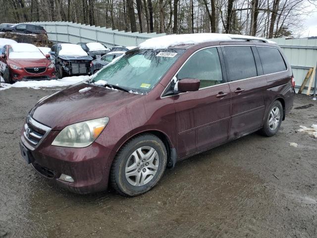 Photo 0 VIN: 5FNRL38867B074447 - HONDA ODYSSEY 