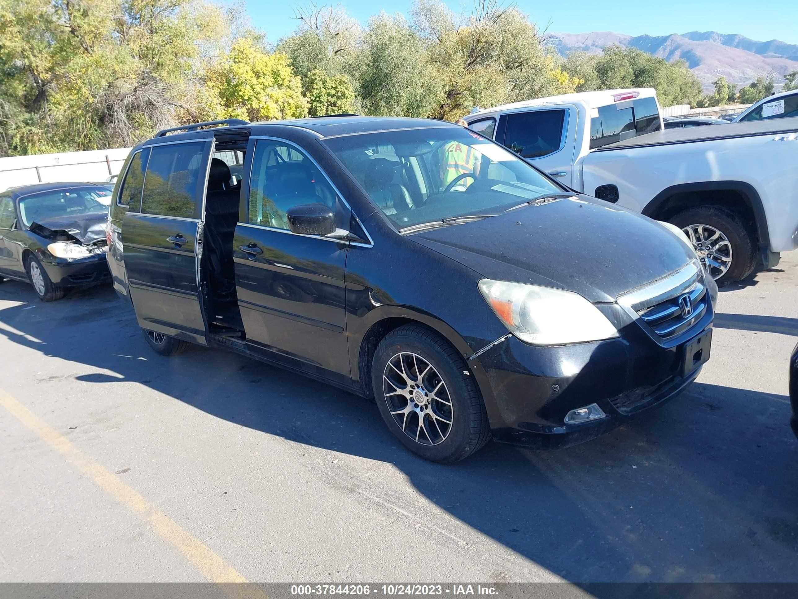 Photo 0 VIN: 5FNRL38896B018145 - HONDA ODYSSEY 