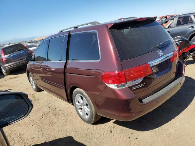 Photo 1 VIN: 5FNRL38909B041343 - HONDA ODYSSEY TO 