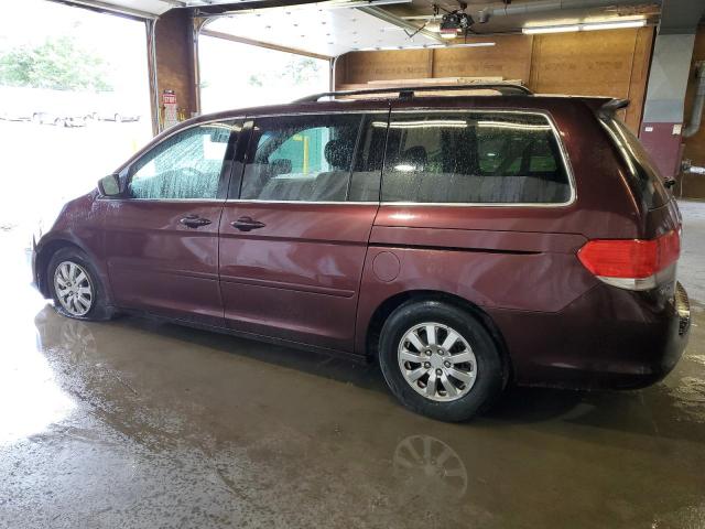 Photo 1 VIN: 5FNRL3H41AB048410 - HONDA ODYSSEY EX 