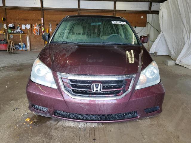 Photo 4 VIN: 5FNRL3H41AB048410 - HONDA ODYSSEY EX 