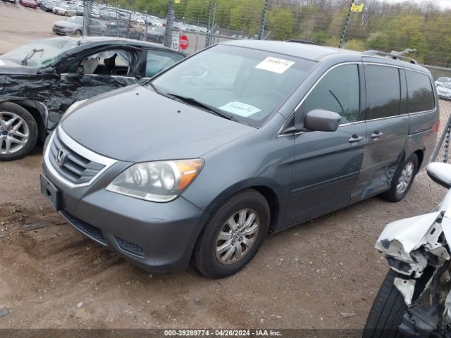 Photo 1 VIN: 5FNRL3H43AB051566 - HONDA ODYSSEY 