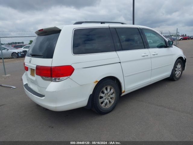 Photo 3 VIN: 5FNRL3H43AB067475 - HONDA ODYSSEY 