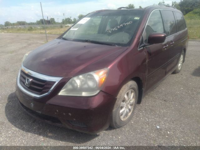 Photo 1 VIN: 5FNRL3H45AB036907 - HONDA ODYSSEY 