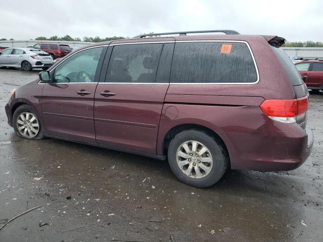 Photo 1 VIN: 5FNRL3H46AB023437 - HONDA ODYSSEY EX 