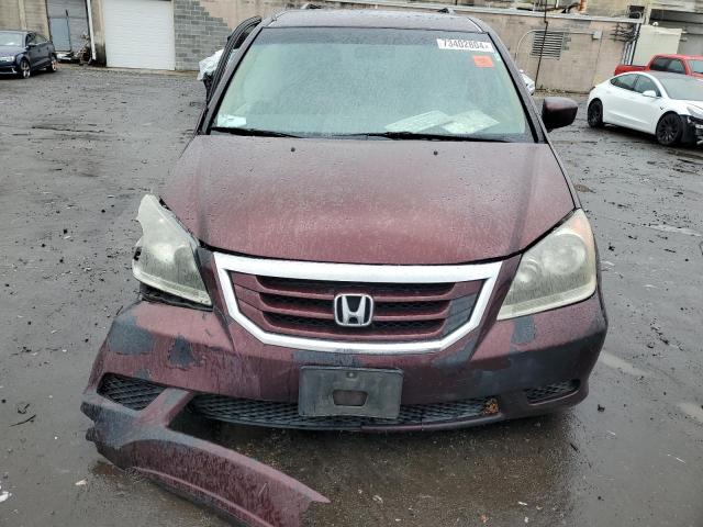 Photo 4 VIN: 5FNRL3H46AB023437 - HONDA ODYSSEY EX 