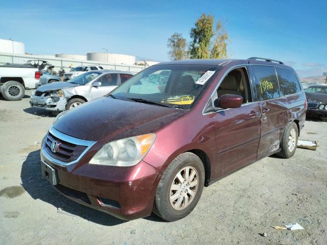 Photo 1 VIN: 5FNRL3H48AB103368 - HONDA ODYSSEY EX 