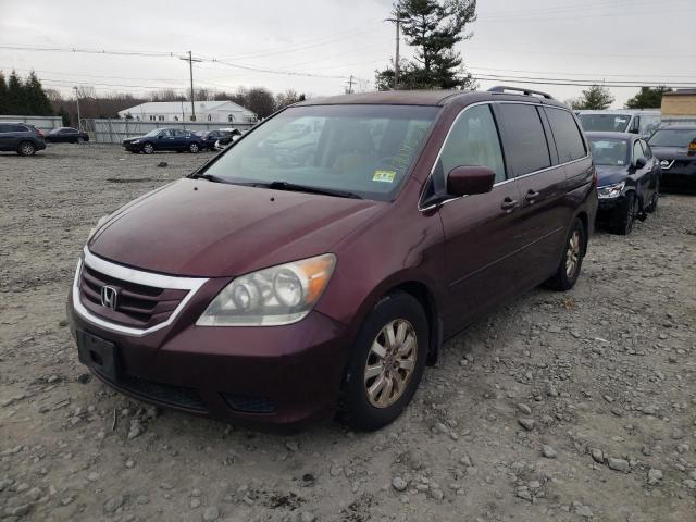 Photo 1 VIN: 5FNRL3H51AB010717 - HONDA ODYSSEY EX 