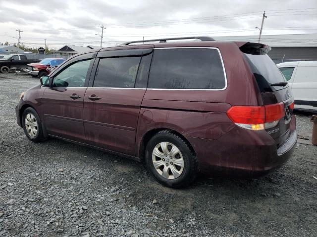 Photo 1 VIN: 5FNRL3H58AB504007 - HONDA ODYSSEY EX 