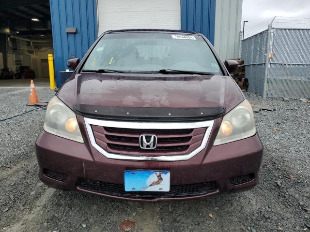 Photo 4 VIN: 5FNRL3H58AB504007 - HONDA ODYSSEY EX 