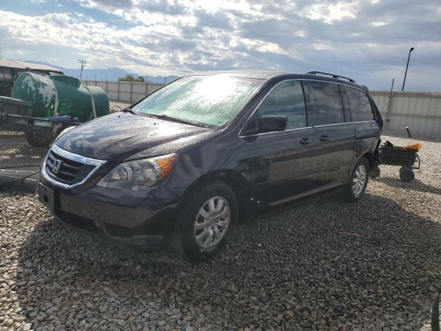 Photo 0 VIN: 5FNRL3H61AB078508 - HONDA ODYSSEY EX 