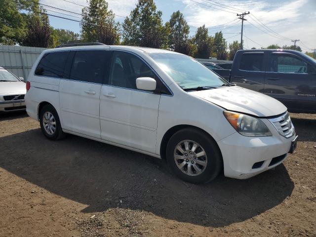 Photo 3 VIN: 5FNRL3H61AB111040 - HONDA ODYSSEY EX 