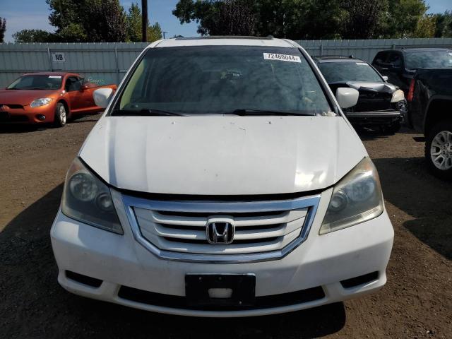 Photo 4 VIN: 5FNRL3H61AB111040 - HONDA ODYSSEY EX 