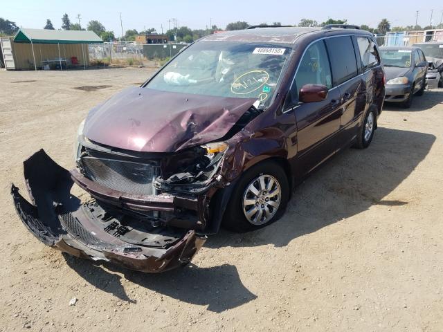 Photo 1 VIN: 5FNRL3H62AB060602 - HONDA ODYSSEY EX 