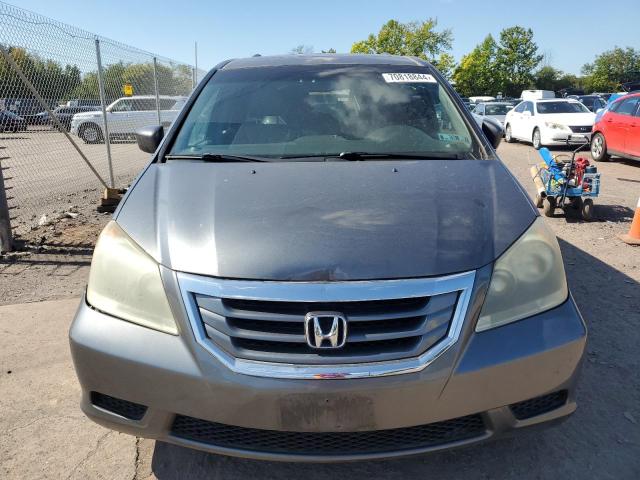 Photo 4 VIN: 5FNRL3H62AB101181 - HONDA ODYSSEY EX 