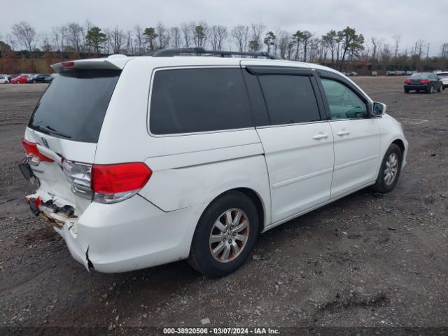 Photo 3 VIN: 5FNRL3H68AB003109 - HONDA ODYSSEY 