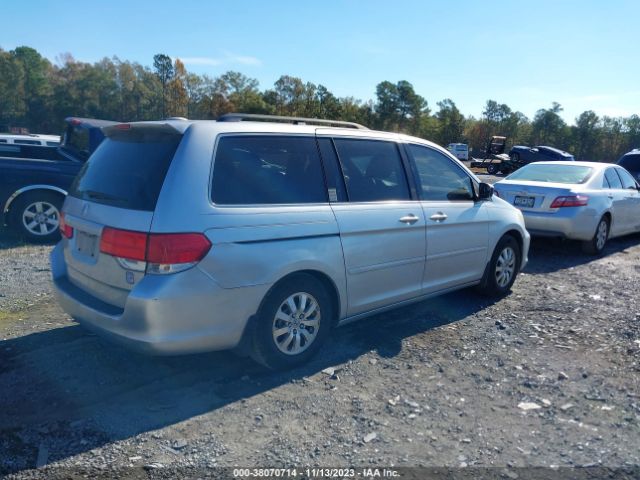 Photo 3 VIN: 5FNRL3H6XAB014239 - HONDA ODYSSEY 