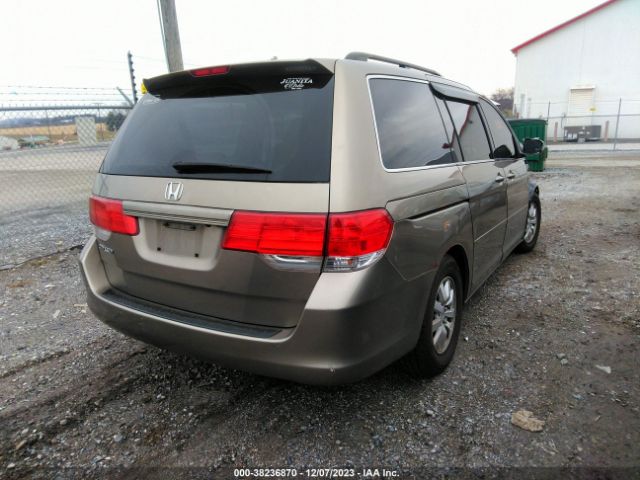 Photo 3 VIN: 5FNRL3H71AB017930 - HONDA ODYSSEY 